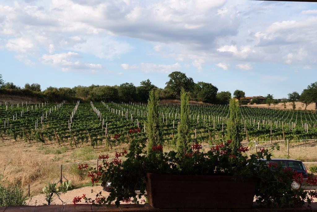 Podere Fingardella Pension Paganico Buitenkant foto